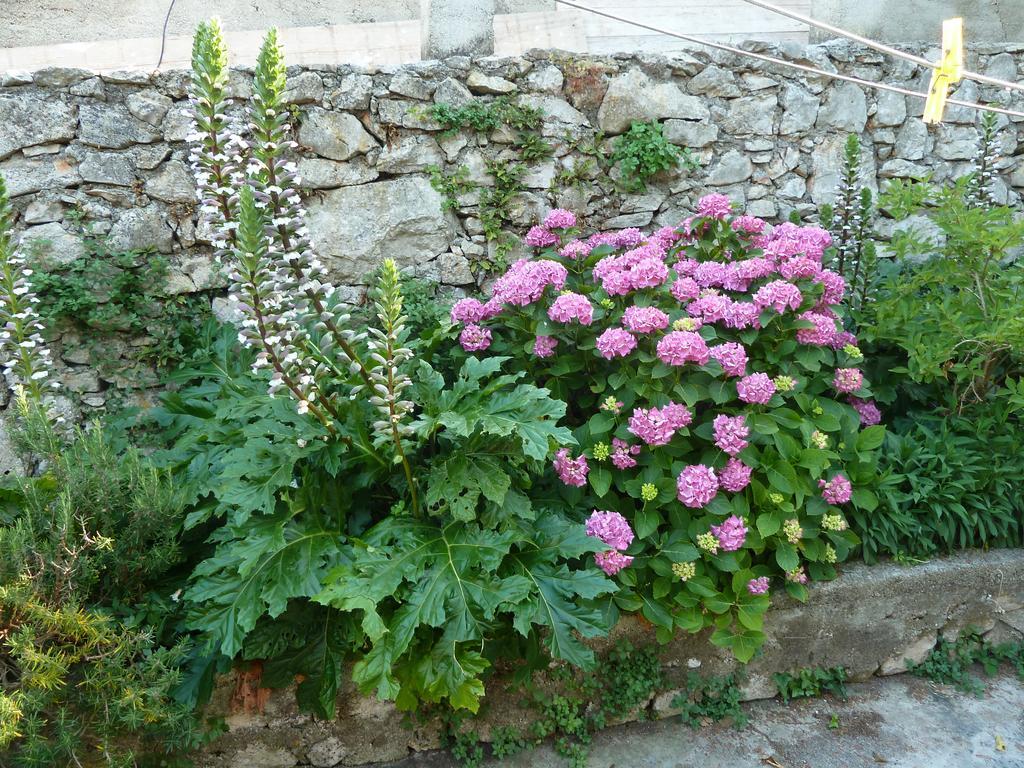 Apartment Nada Veli Lošinj Exterior foto